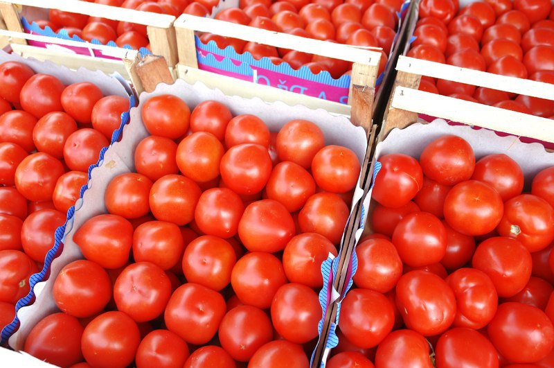 Активный спрос провоцирует рост цен на томаты в РФ
