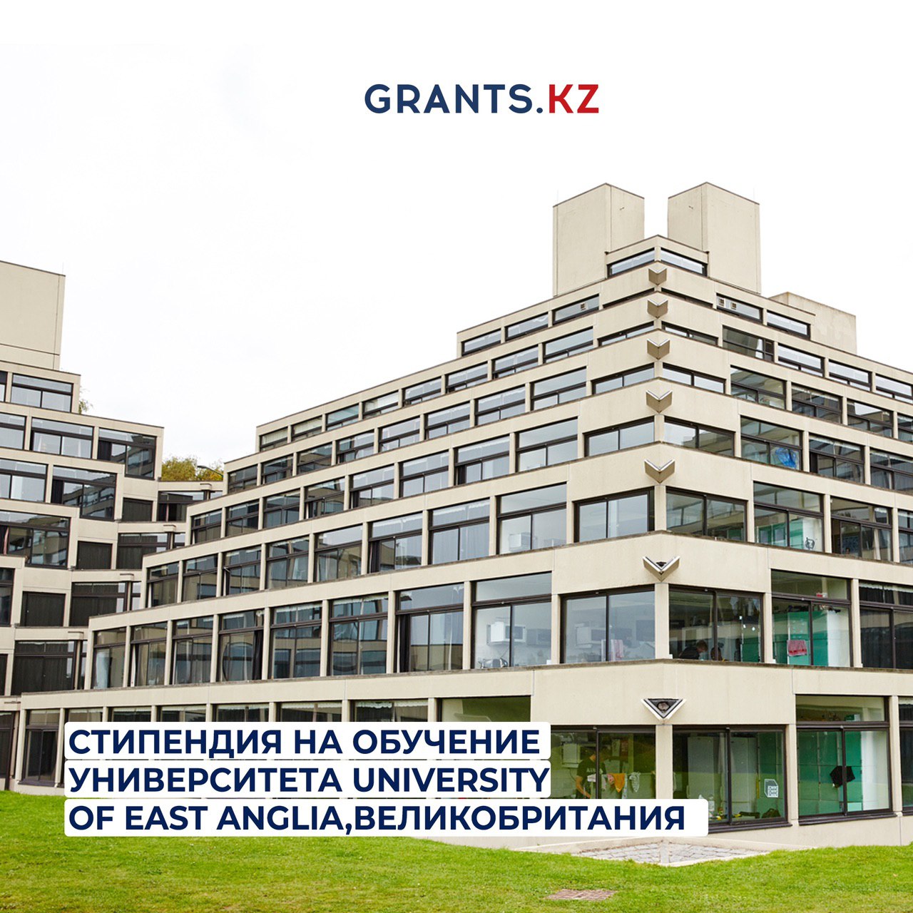 Гранты стипендии стажировки