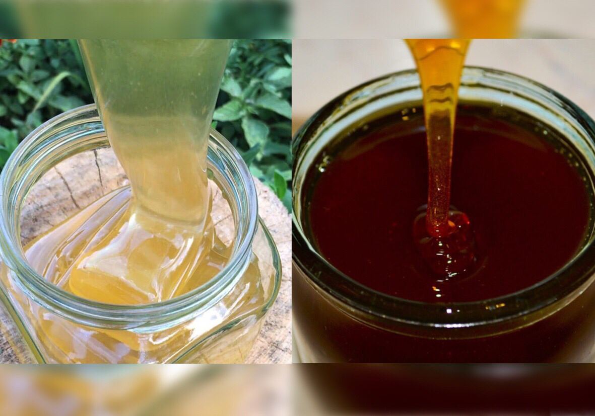 Жидкое есть можно что именно. Гречишный и липовый мед. Мед липовый Алтайский. Алтайский гречишный мед. Гречишный мед цвет.