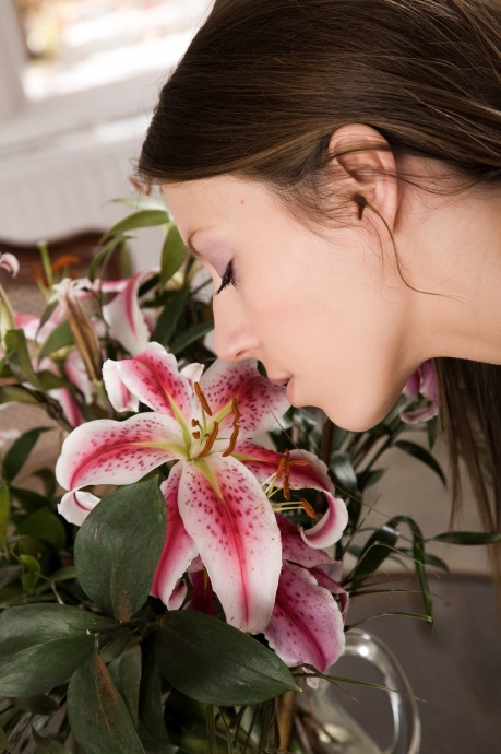 [Image: 930ef5a84f8aa0ad8c540.jpg]