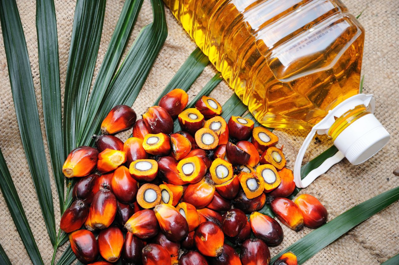 В Петербурге лишили налоговых льгот производителей пальмового масла