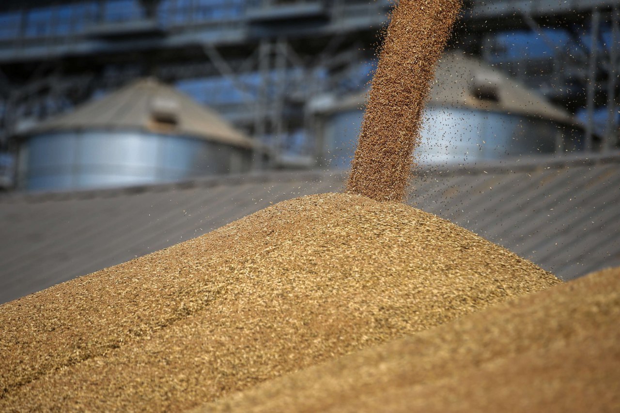 Поставки пшеницы в Казахстан угрожают президентским майским указам
