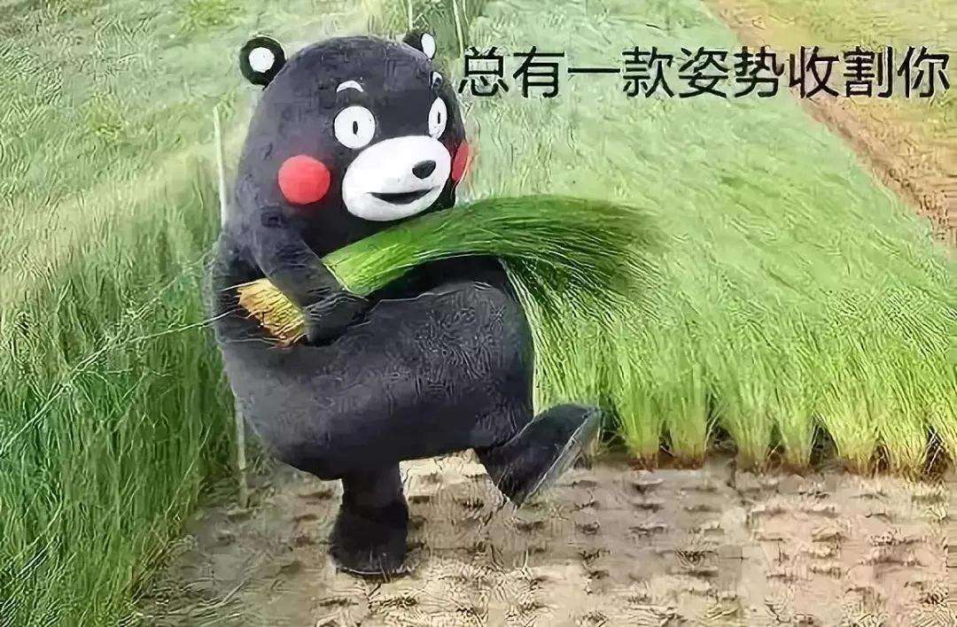 https://telegra.ph/file/93bef223c0e01a038d117.jpg
