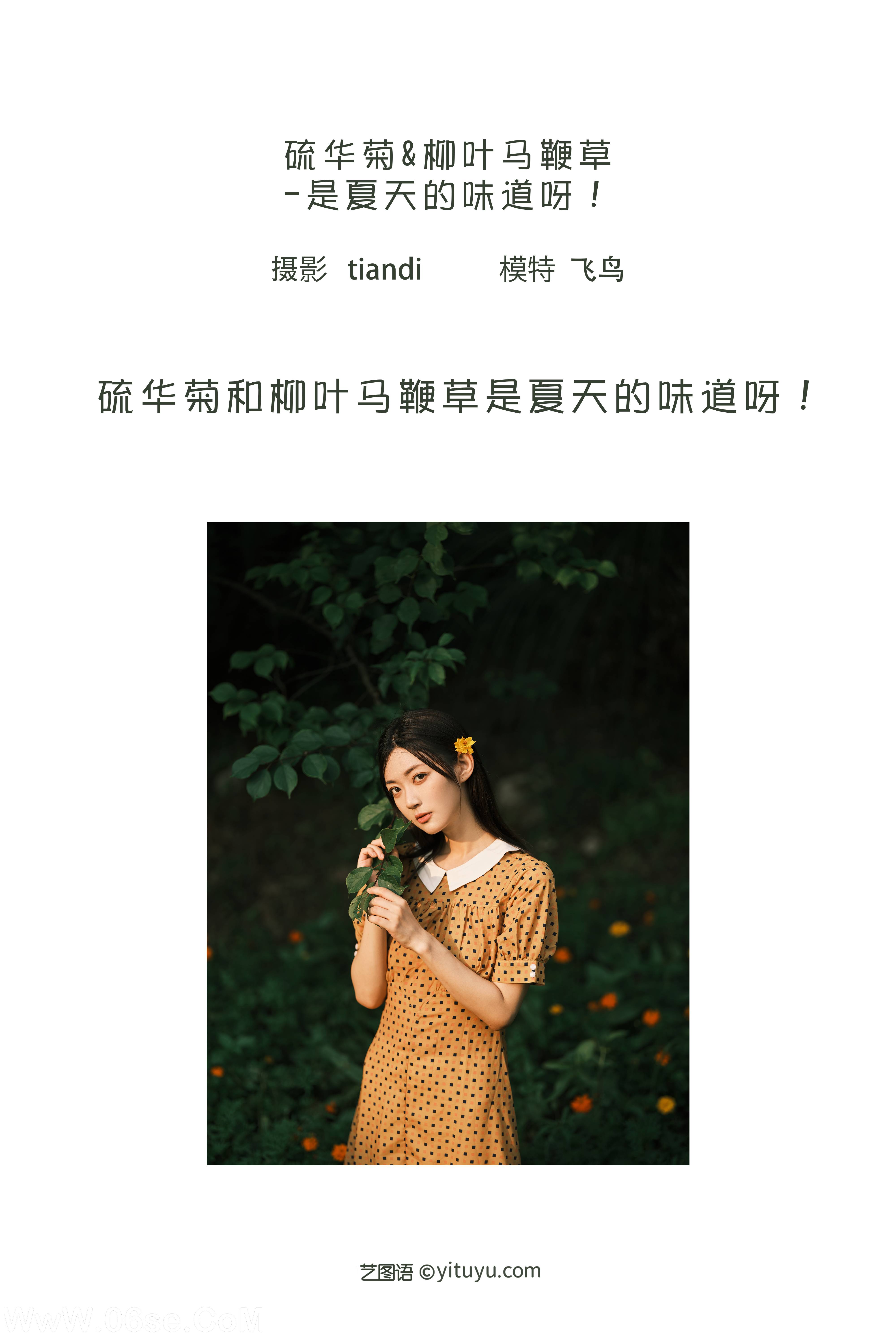 图片[2]-[YITUYU艺图语]2022.08.08 硫华菊&柳叶马鞭草-是夏天的味道呀！ 飞鸟咕咕-[43+1P／1.08GB]-六色网