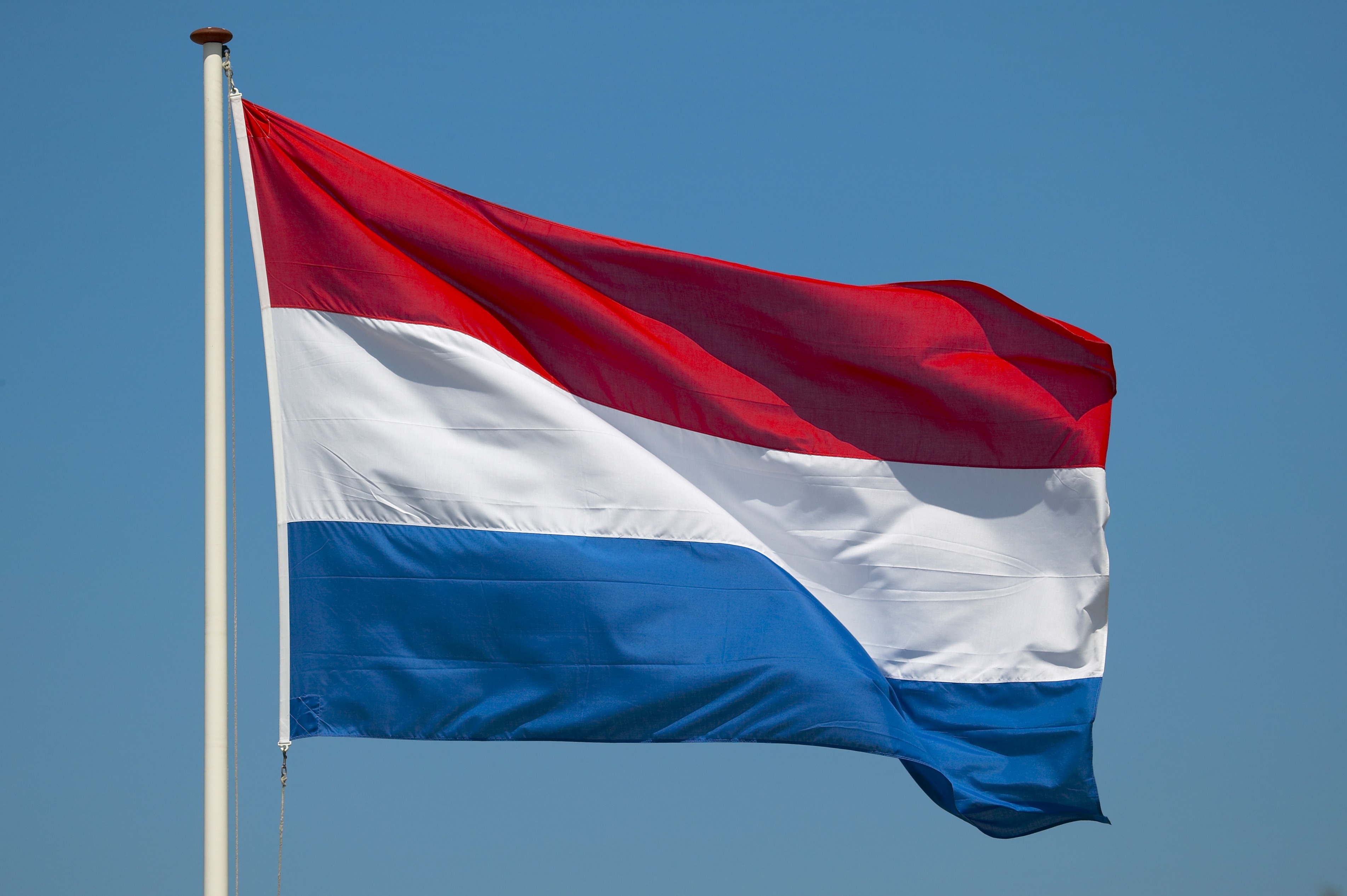 Pc flag. Государственный флаг Нидерландов. Флаг Dutch. Фото флага. Флаг Нидерландов и России.