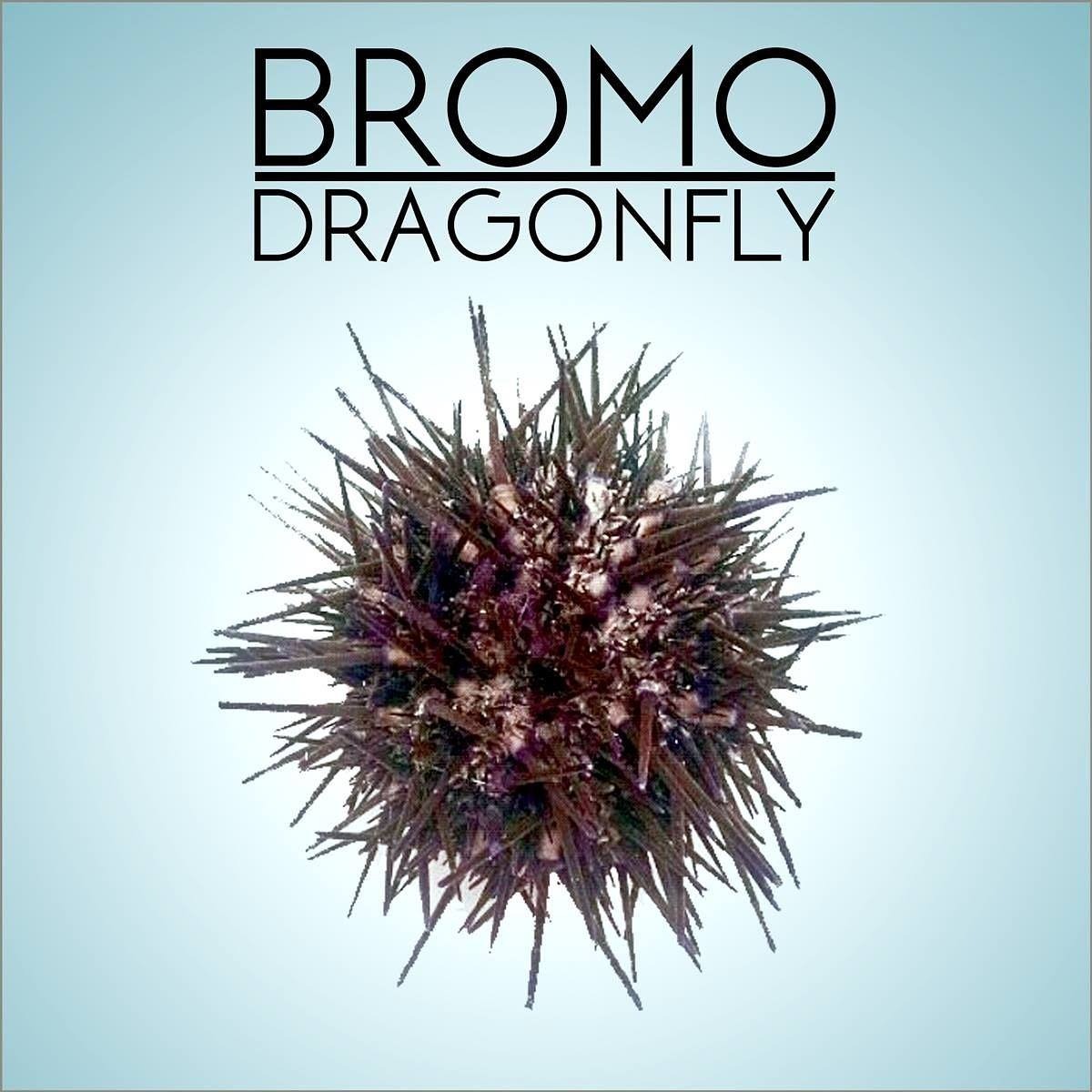 Bromo dragonfly что