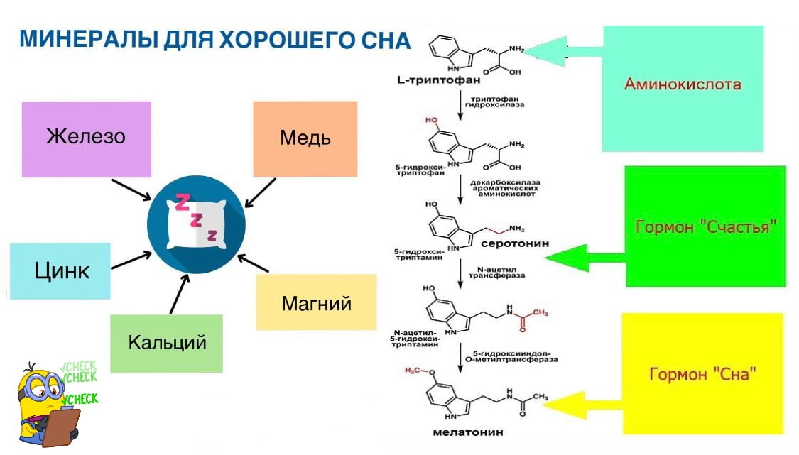 Первая школа биохакинга схемы