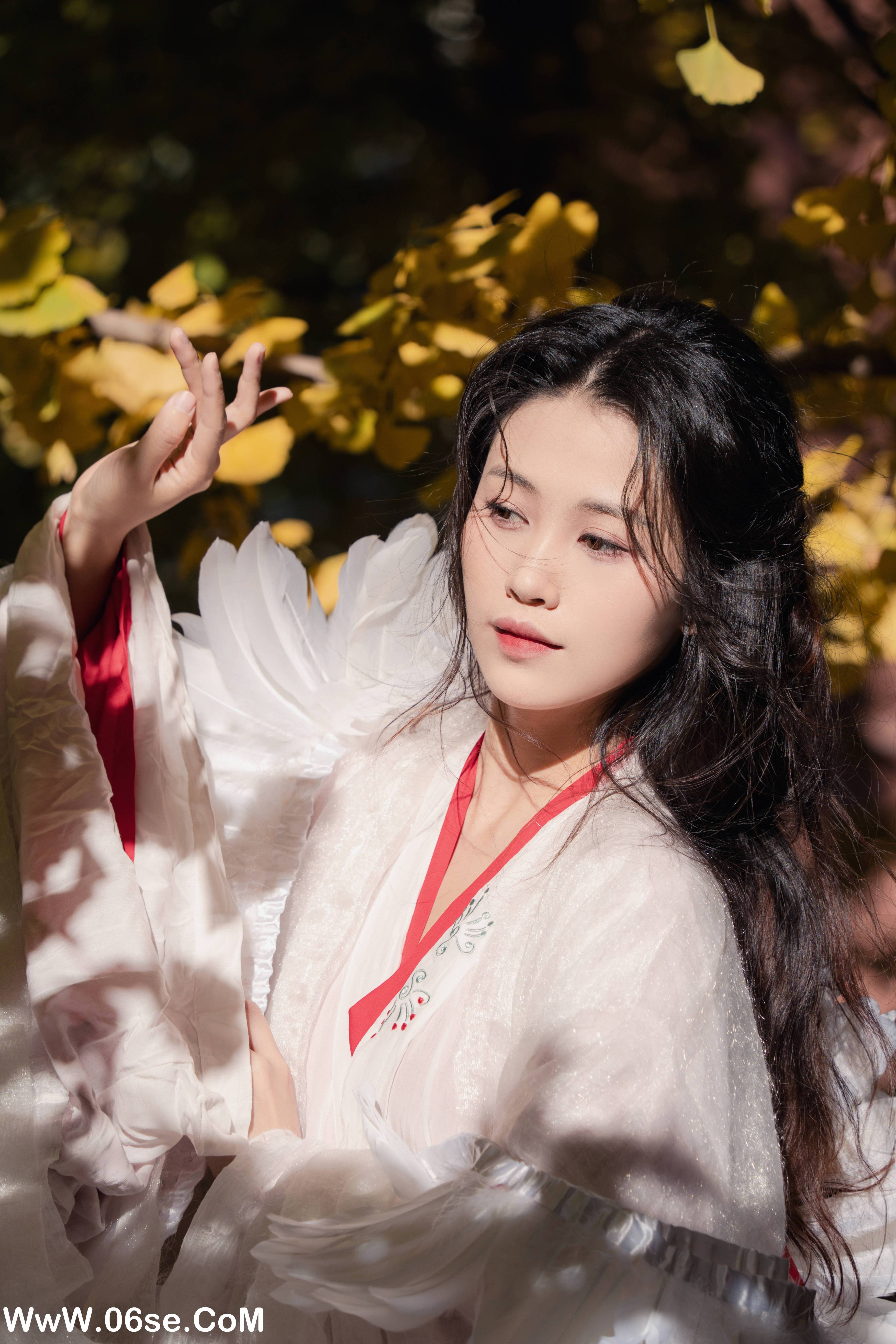 图片[21]-[YITUYU艺图语]2022.11.30 银杏 青霜鹅[25+1P／393MB]-六色网