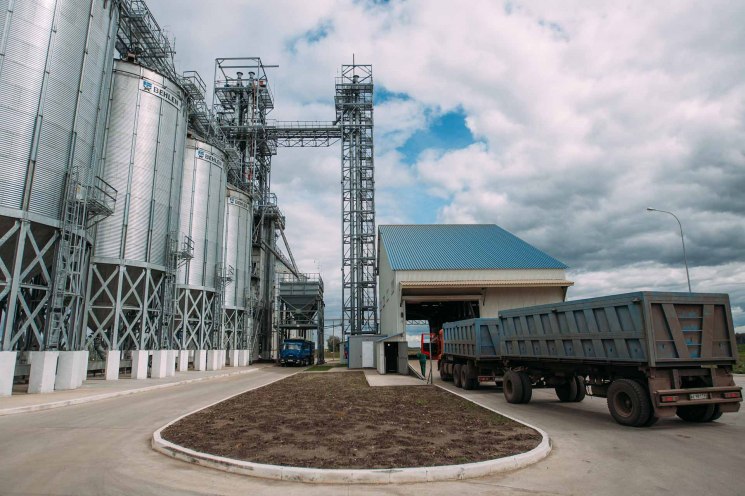 Минсельхоз намерен ввести карантинные сертификаты при перевозках зерна внутри страны