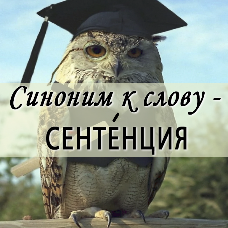 Сентенция. Сентенция синоним.