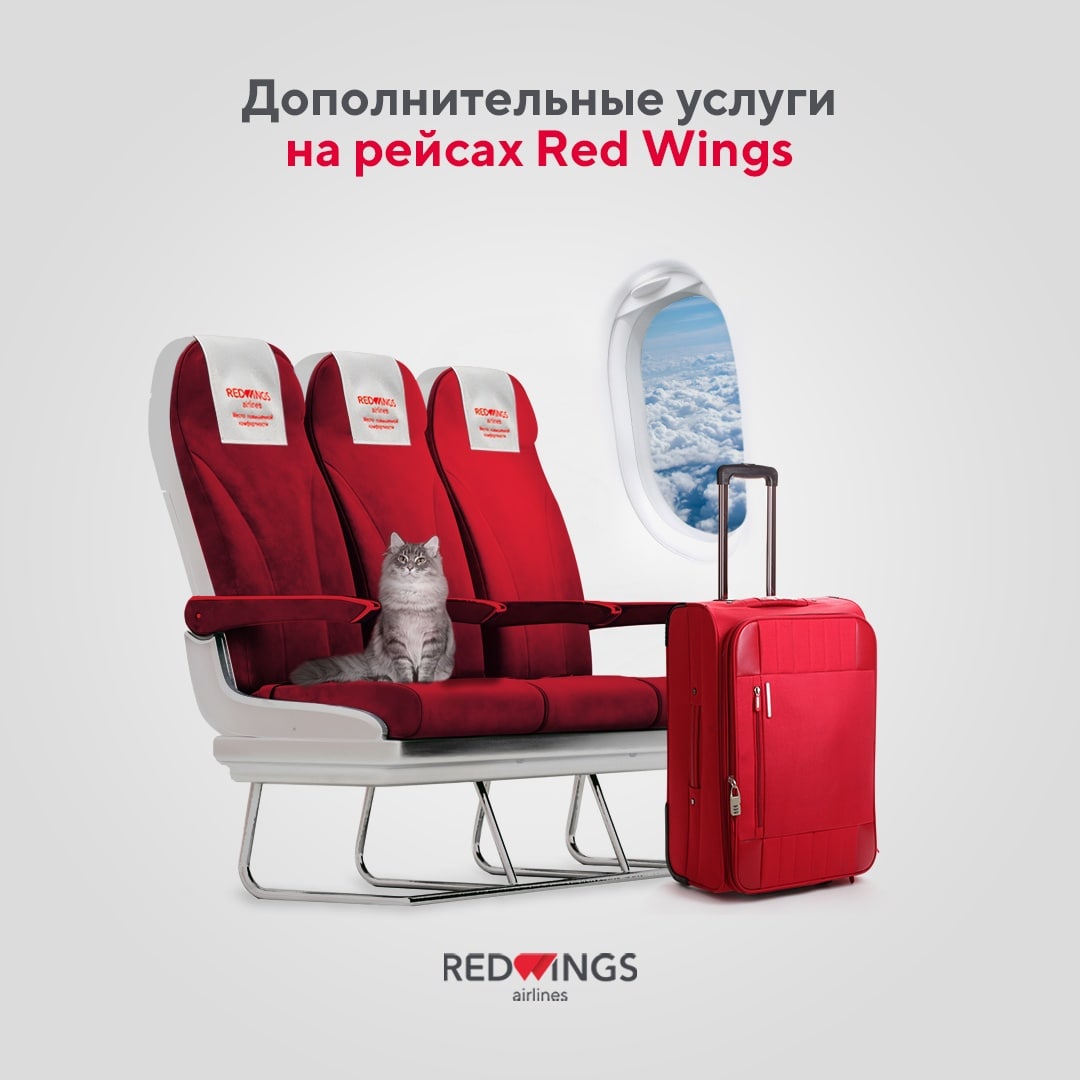 Boeing 777 200 red wings схема