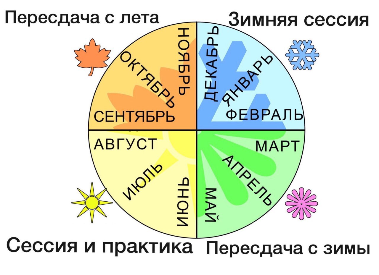 Времена года человек. Времена года. Продолжительность года. Изменение времен года астрология зима и лето. Зимняя и летняя сессия.