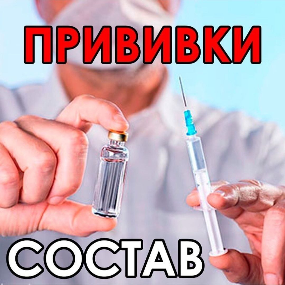 Прививки. Состав – Telegraph
