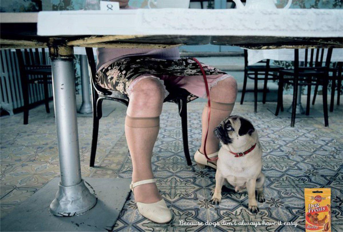 Нюхал трусы тети. Дама с собачкой смешное. Дама с собачкой прикол. Тетка с собачкой. Собака под столом.