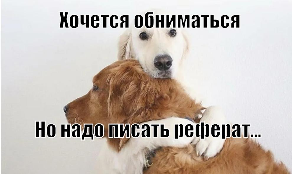 Основная часть реферата: советы как написать – Telegraph