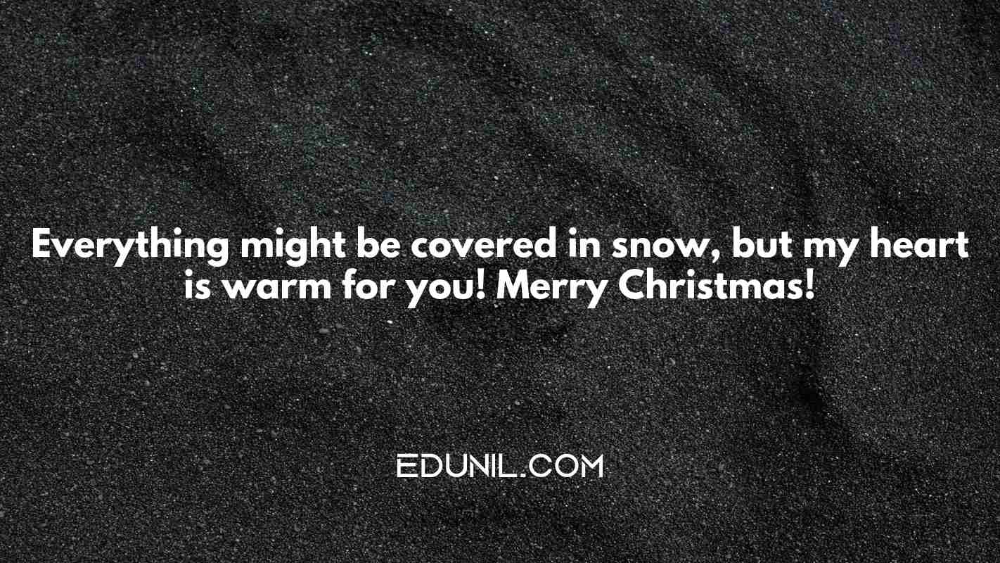 Everything might be covered in snow, but my heart is warm for you! Merry Christmas! - 
