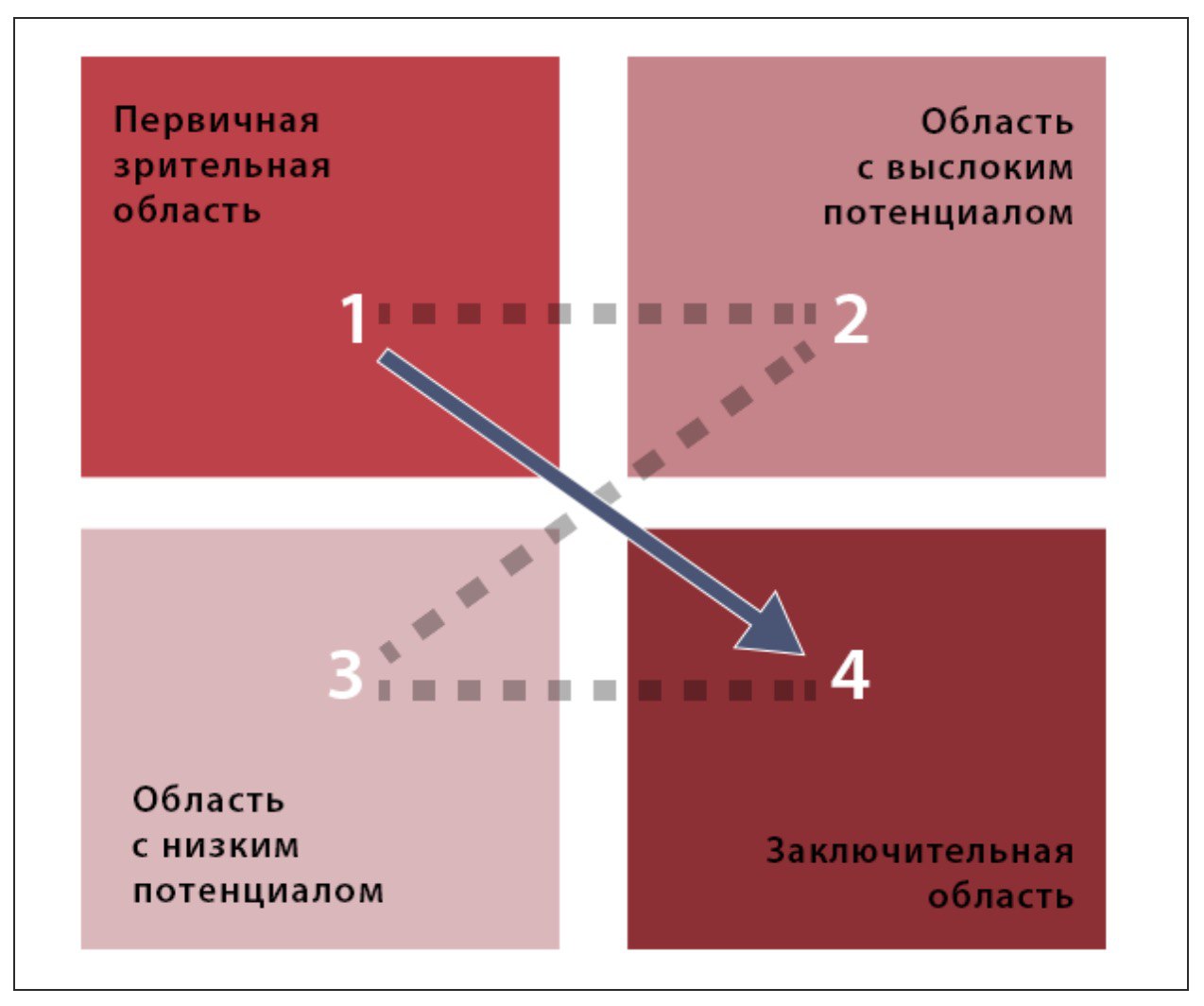 Диаграмма гутенберга веб дизайн