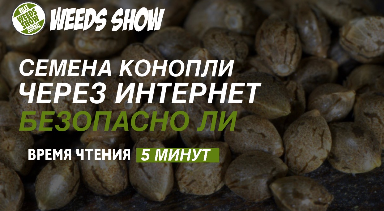 Кто заказывал семечки конопли скачать тор браузер windows 10 на русском языке hudra