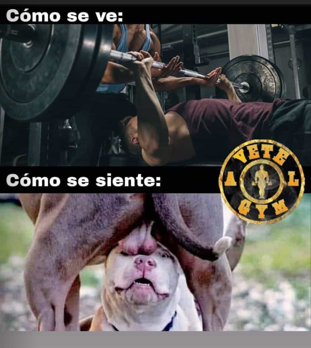 Cuando te ayudan en press de banca