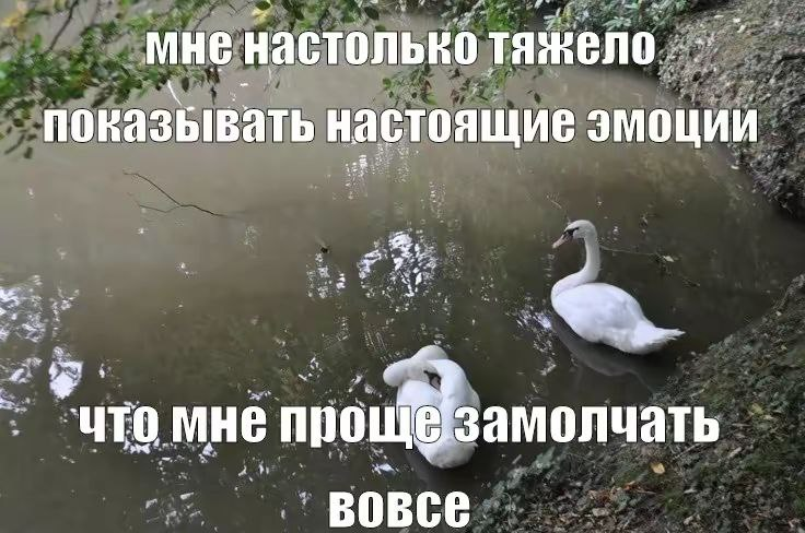 станция "психастения". – Telegraph