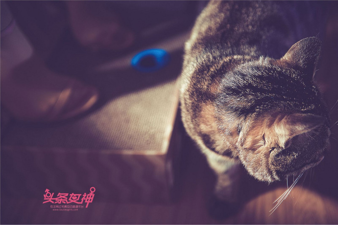 [Image: 9705a051d4c0500be1cb2.jpg]