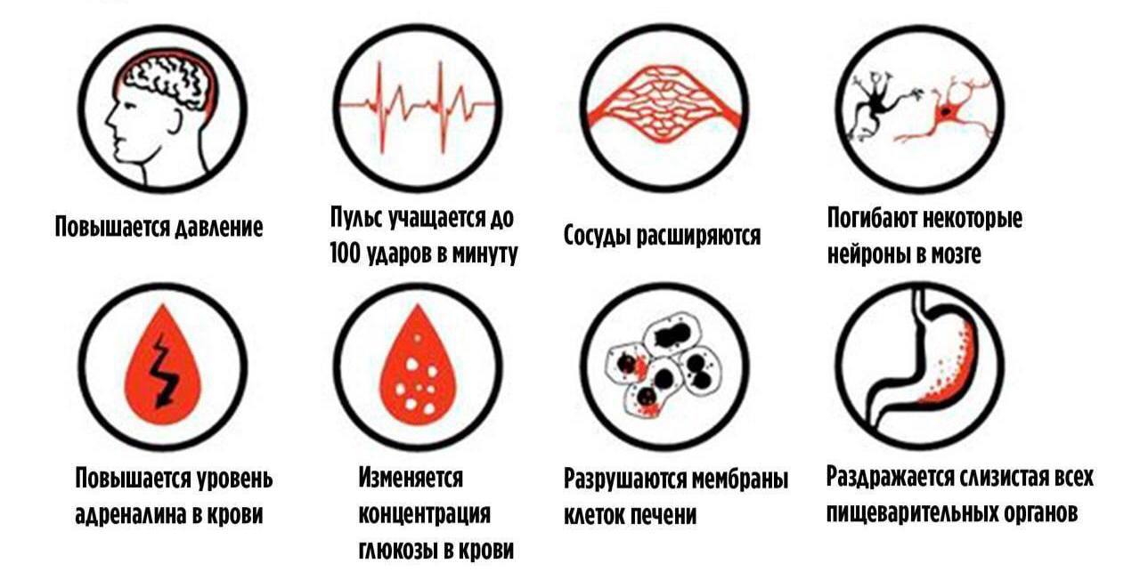 Что Бывает После Секса Что Бывает После Секса