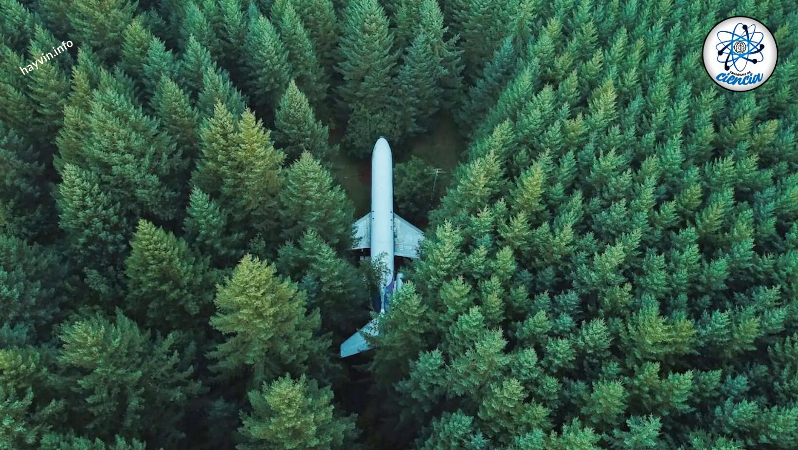 Ebben az erdőben parkol egy Boeing 727-es (és láthatja a Google Maps-en)