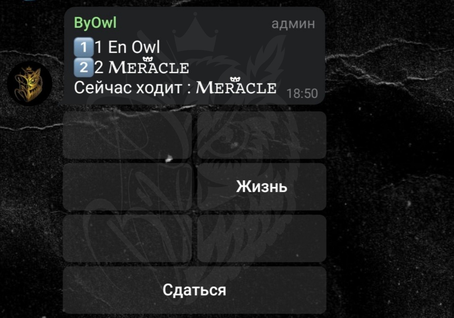 Как пользоваться ботом? – Telegraph