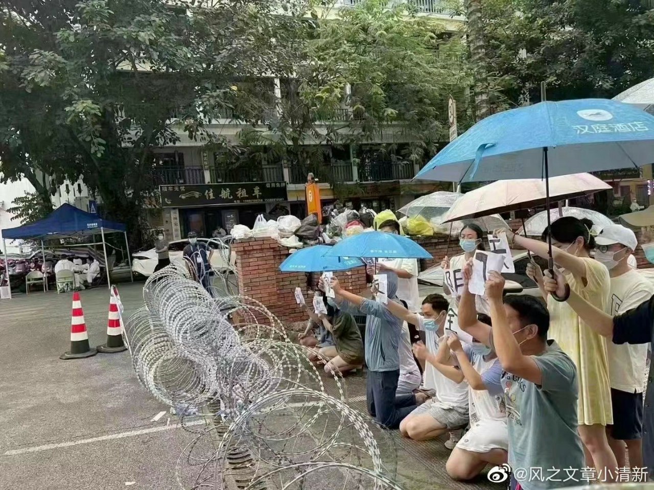 https://telegra.ph/file/97c19c73033787de63daf.jpg