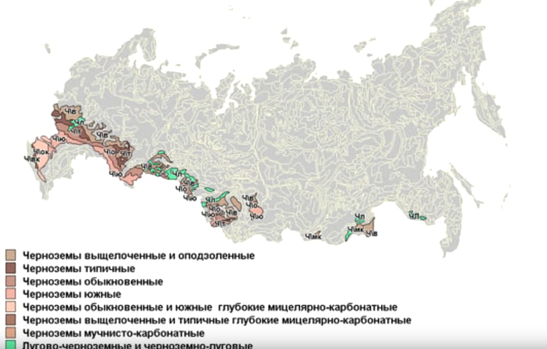 Какие области черноземные почвы россии. Карта распространения черноземов в России. Где располагаются черноземные почвы в России. Территория распространения черноземных почв в России. Карта плодородных земель России.