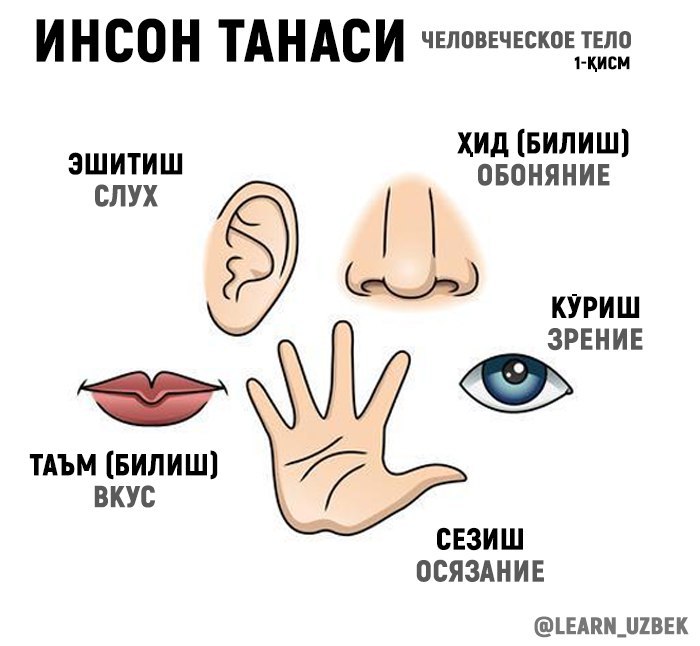 Virtual jinsiy hazil