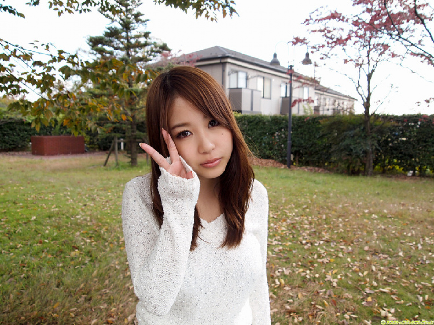 [Image: 9876a2a5ff5b17ef171b1.jpg]
