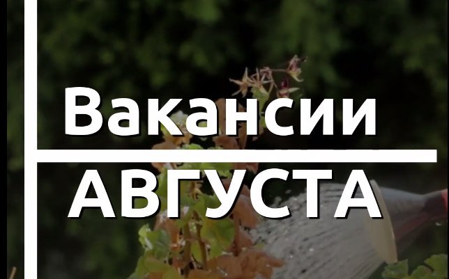 Август вакансии