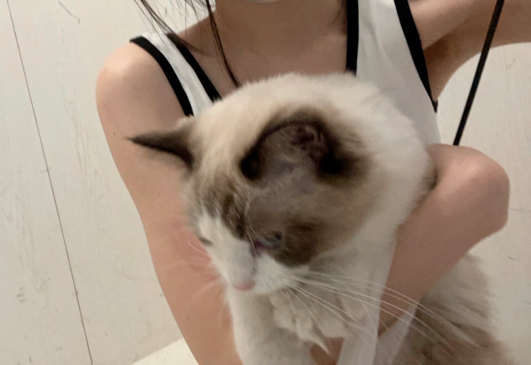 2022-09-14 表と裏🖤🖤 [20P-30.49MB] 18