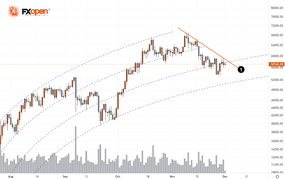 Btc view