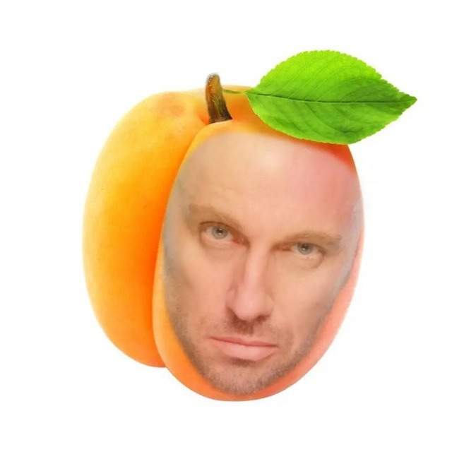 Помощь новичкам!! – Telegraph