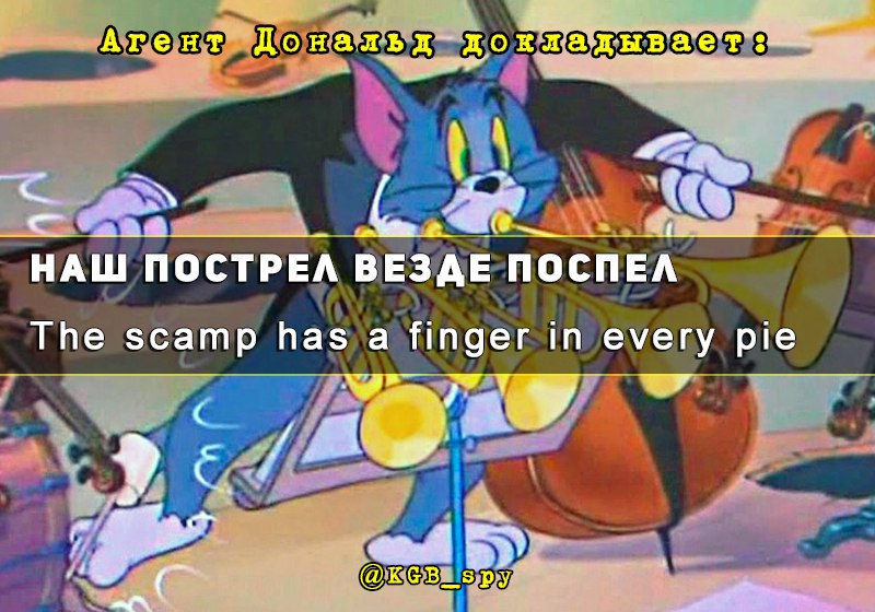 Having finger in every pie. Наш пострел везде поспел. Наш пострел везде поспел картинки. Наш пострел везде поспел карикатура. Открытка наш пострел везде поспел.