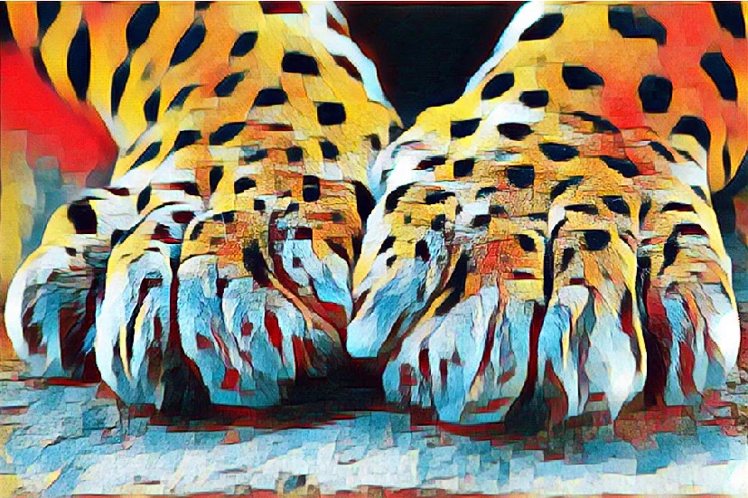 Операция «Ягуар» – Telegraph