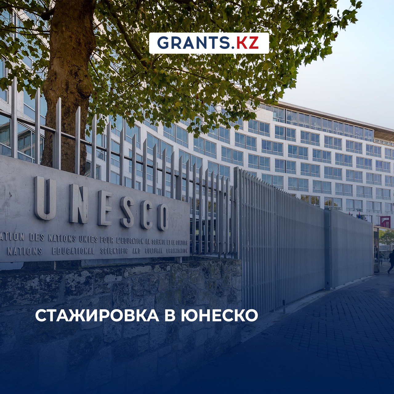 Гранты стипендии стажировки