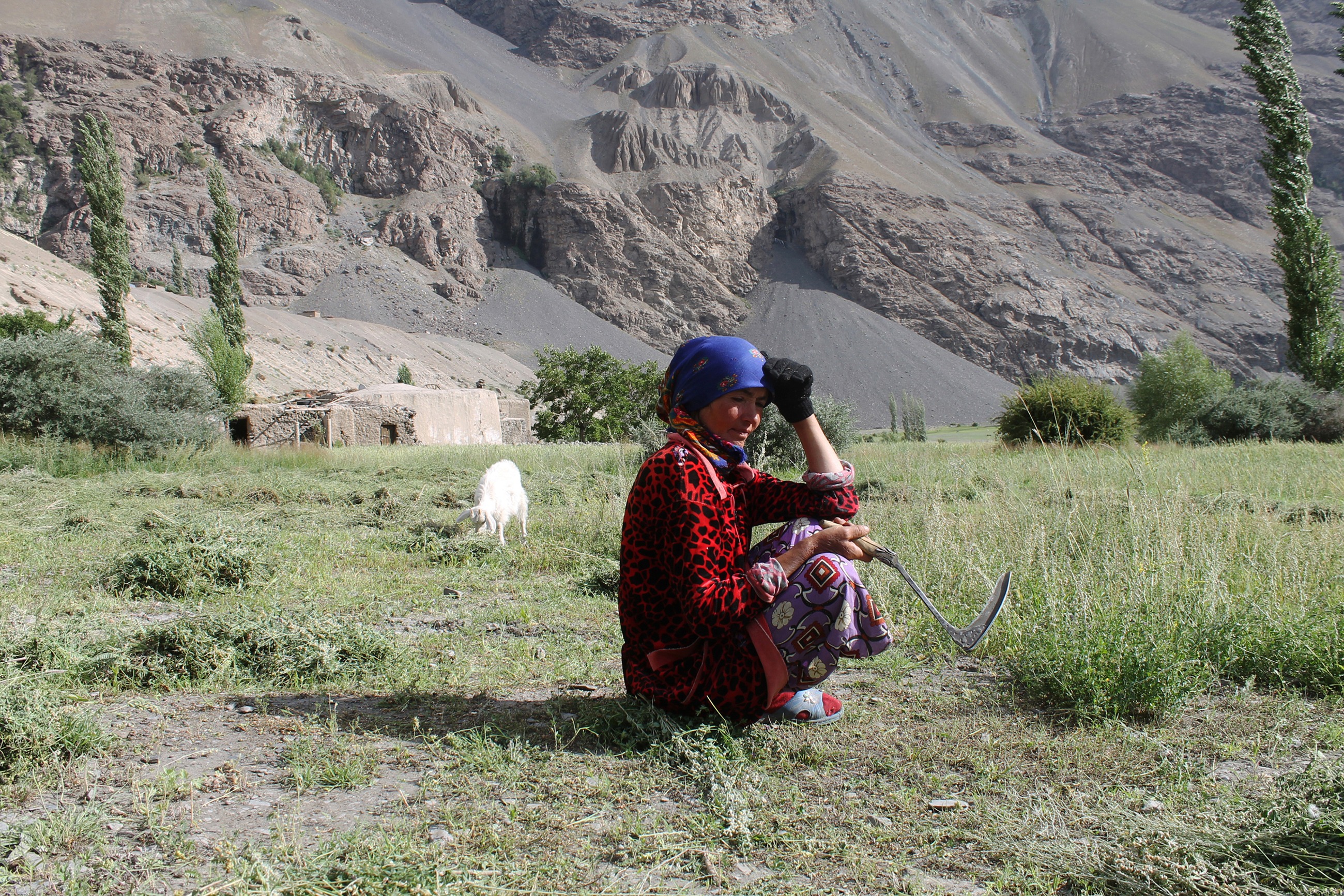 Население памира. Памир Шугнанский район кишлак. Кишлаки на памире в Таджикистане. Гиссарская Долина Таджикистан. Памир Таджикистан население.