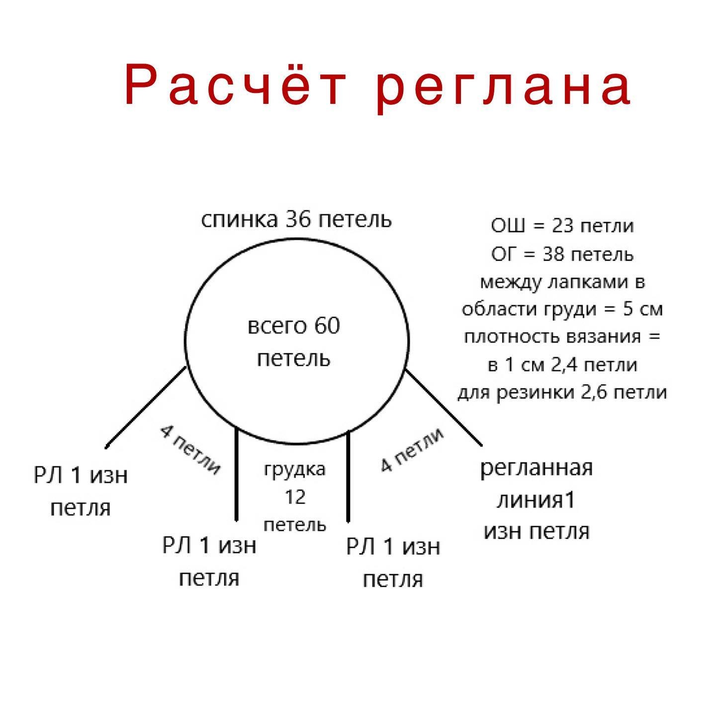 Расчет реглана для собаки