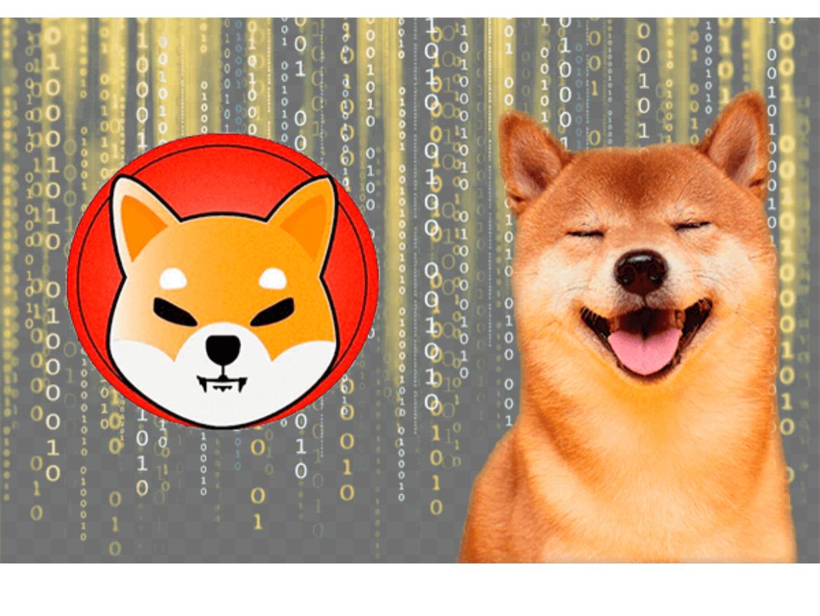 Prezzo shiba inu crypto