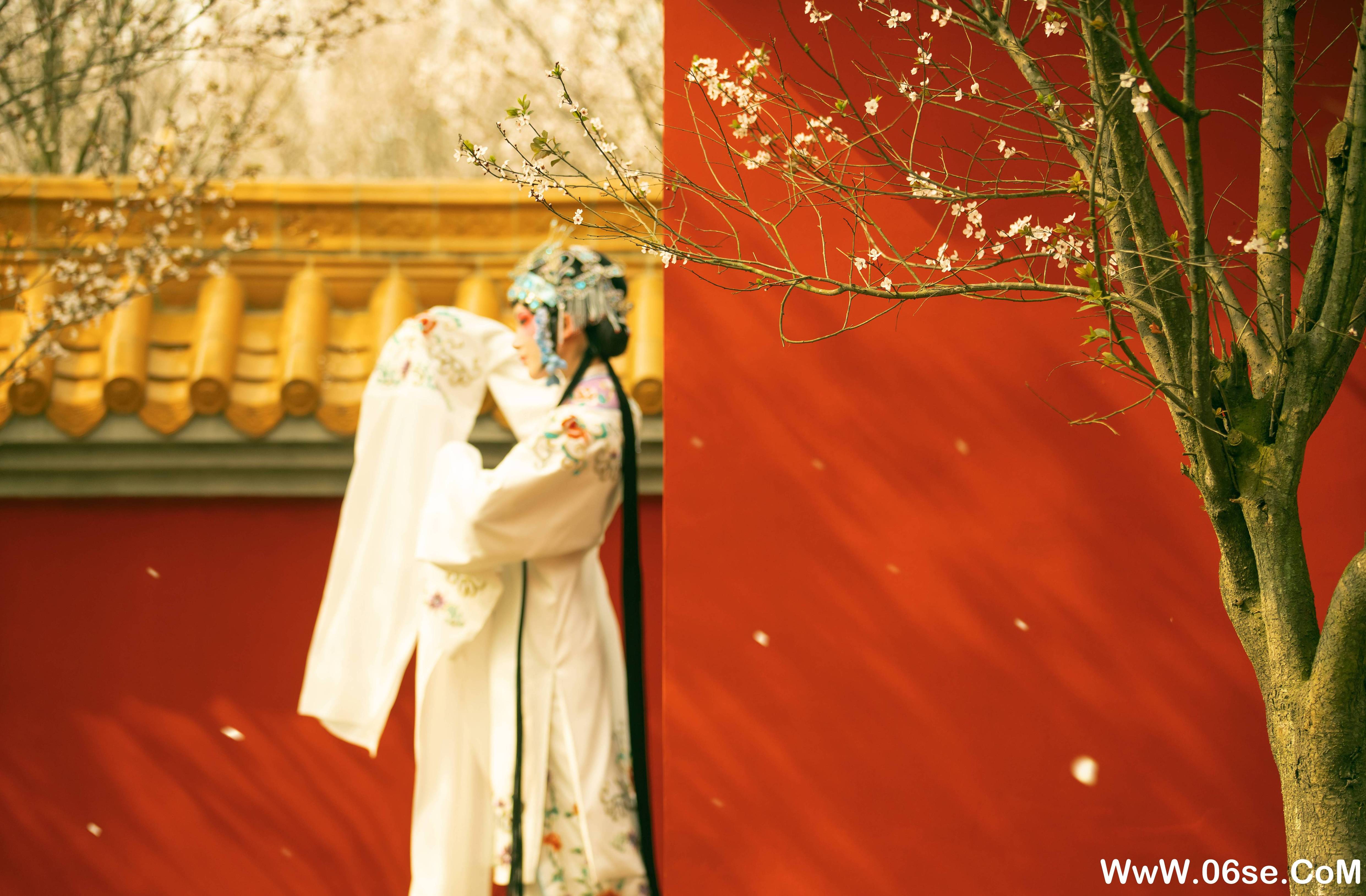 图片[6]-[YITUYU艺图语]2021.12.18 花满枝 修水凝花[22+1P／295MB]-六色网