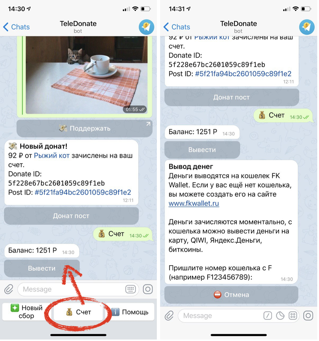 Telegraph пост. Кошелек телеграмм. Бот котики в телеграмме. Как сделать донат в телеграмм канале. Как завести кошелек в телеграмме.