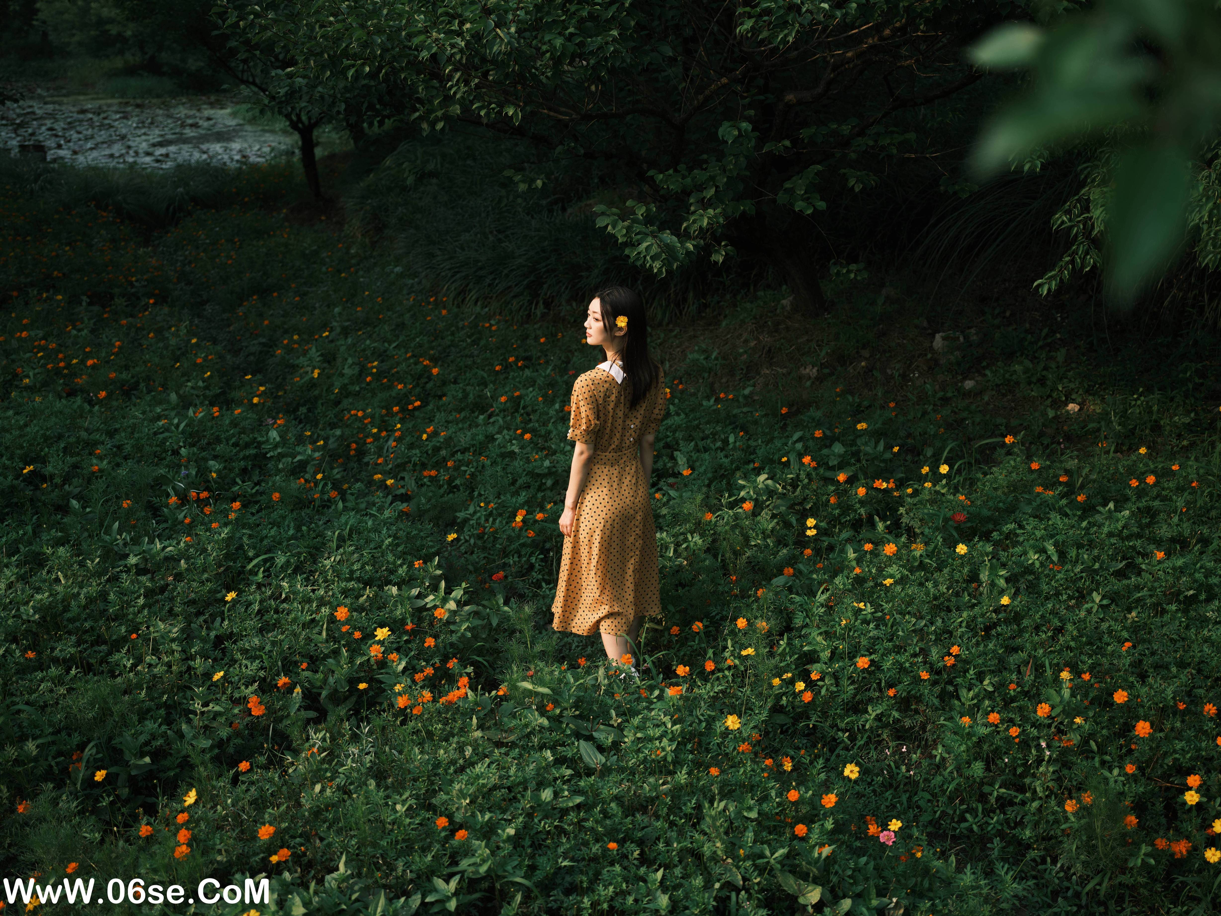 图片[10]-[YITUYU艺图语]2022.08.08 硫华菊&柳叶马鞭草-是夏天的味道呀！ 飞鸟咕咕-[43+1P／1.08GB]-六色网