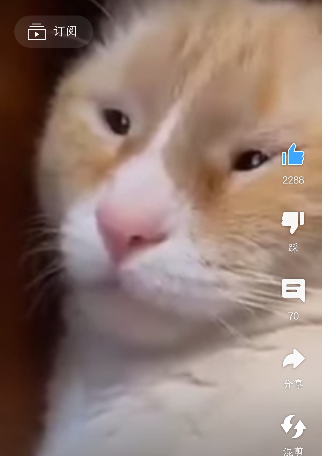 https://telegra.ph/file/9d57ca82addbf5a0f0c55.jpg