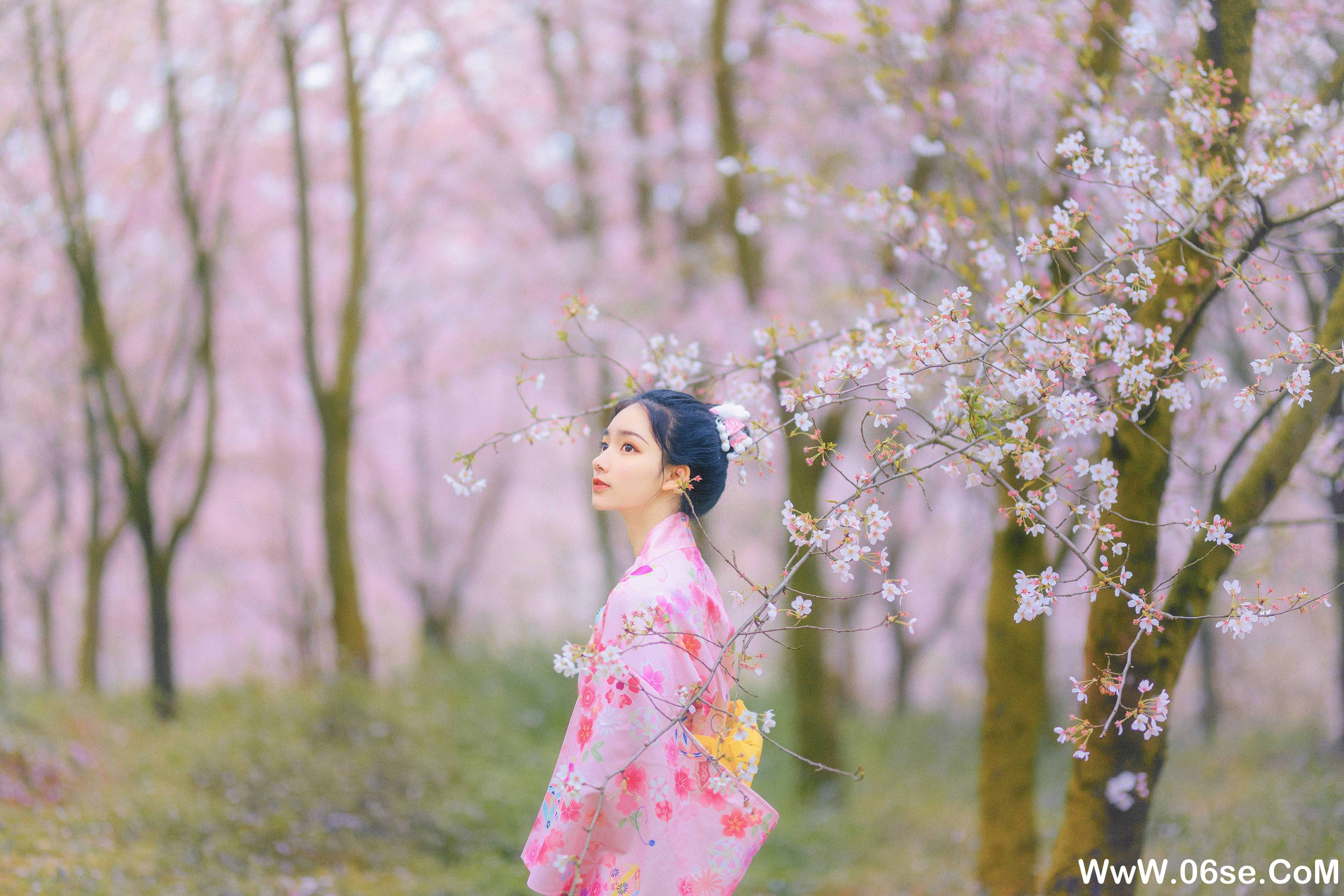 图片[9]-[YITUYU艺图语]2021.08.27 樱の物语 猫夏小卡[33+1P／1.22GB]-六色网