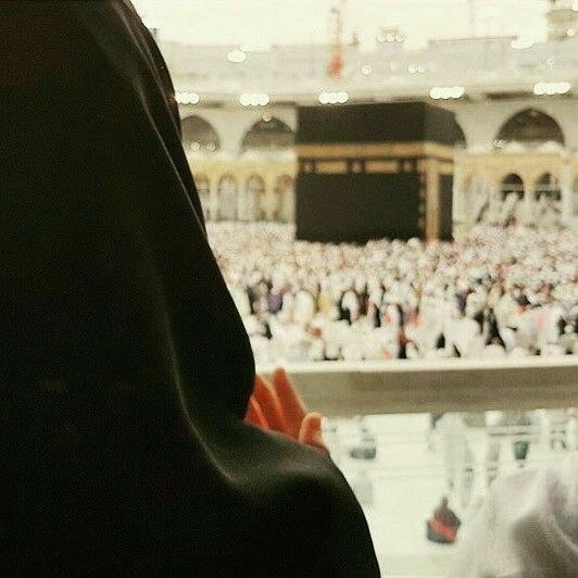 Yigit mushukdan oz konchasini yalaydi