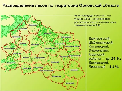 Орловская область чернобыльская. Карта лесов Орловской области. Климатическая карта Орловской области. Реки Орловской области на карте. Карта рельефа Орловской области.