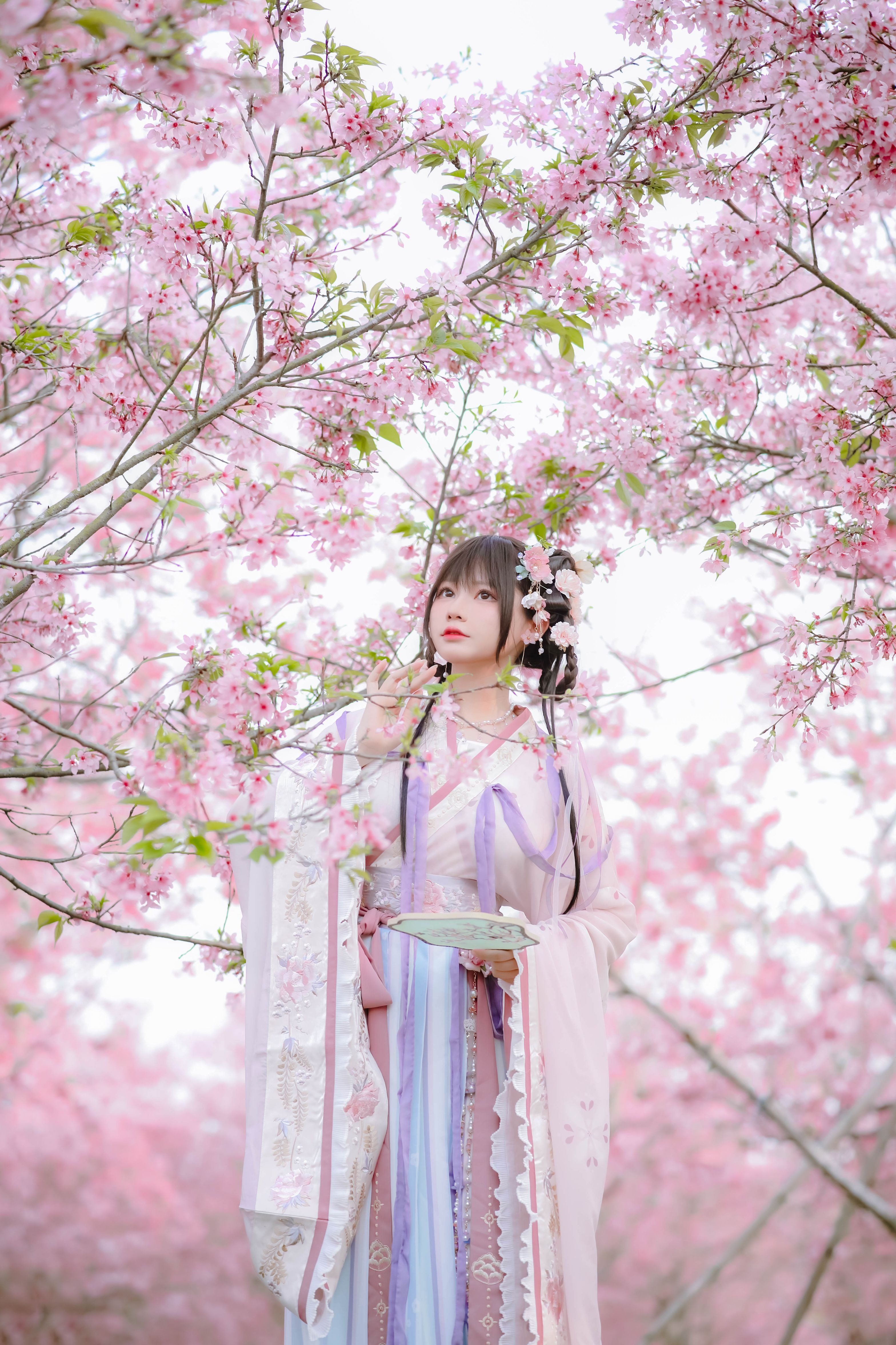 喵子Nyako - 樱花汉服 花神祈愿 [52P-219MB] 36